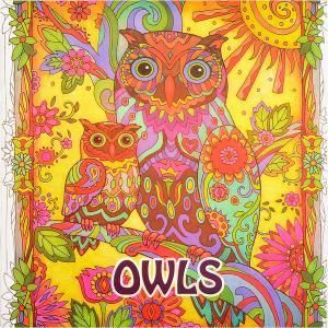 OWLS розфарбовка антистрес Сова
