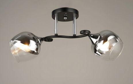 Потолочная люстра Sirius B N4097/2 (на 2 плафона) Потолочная люстра Sirius B N4097/2 (на 2 плафона)