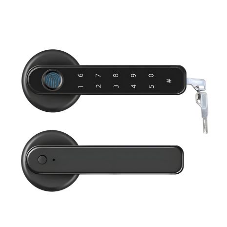 Биометрический умный кодовый умный замок на межкомнатную дверь Badodo Security 196