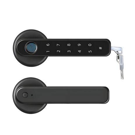 Биометрический умный кодовый умный замок на межкомнатную дверь Badodo Security 196