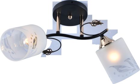 Декоративная люстра V DA5147B/2 Black Gold на 2 плафона Декоративная люстра V DA5147B/2 Black Gold на 2 плафона