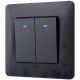 Дво-ключовий вимикач з підвищеною вогнестійкістю і підсвіткою - VIDEX BINERA VF-BNSW2L-BG (чорний графіт)