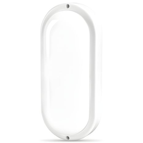 Вуличний захищений світлодіодний світильник овальний TITANUM TL-BHO-206 20W 6500K