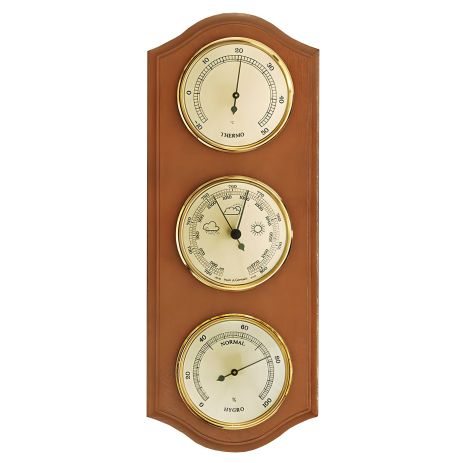 Метеостанція Moller 203379 Alder (203379), точна