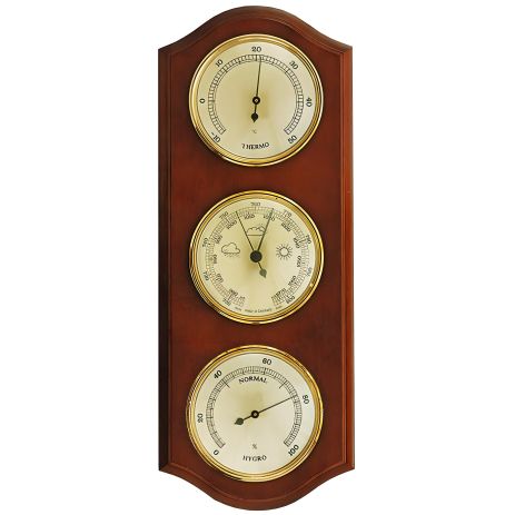 Moller 203382 Walnut метеостанція (203382)