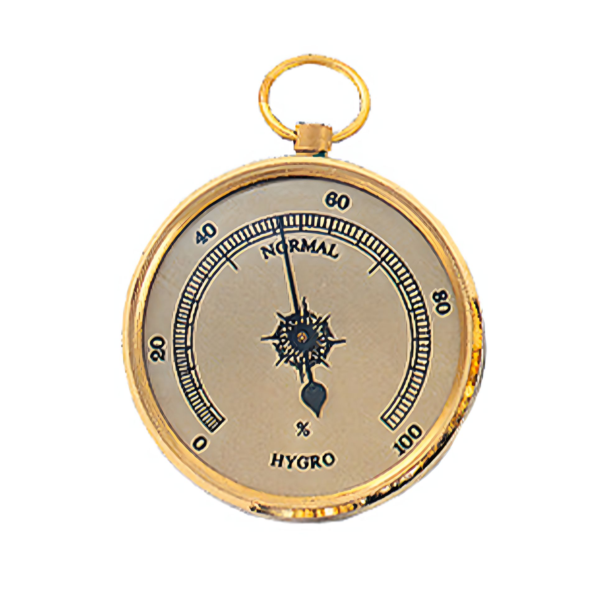 Гигрометр Moller 301301 Гигрометр Moller 301301