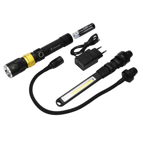 Профессиональный фонарь Mactronic Beemer 4 (350 Lm + UV 390 nm) Ultraviolet Focus USB Recharg (PWL0021)