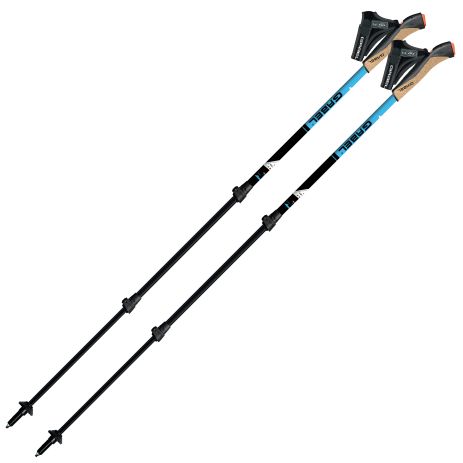Палки для скандинавской ходьбы Gabel Tour XT F.L. (7009351550000) Палки для скандинавской ходьбы Gabel Tour XT F.L. (7009351550000)