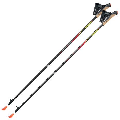 Треккинговые палки Gabel FX-75 Snake Carbon 110 Dual Spike (7008351011100) Треккинговые палки Gabel FX-75 Snake Carbon 110 Dual Spike (7008351011100)