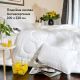 Двойное зимнее одеяло IDEIA Air Dream Exclusive 200Х220 см (8-11768)