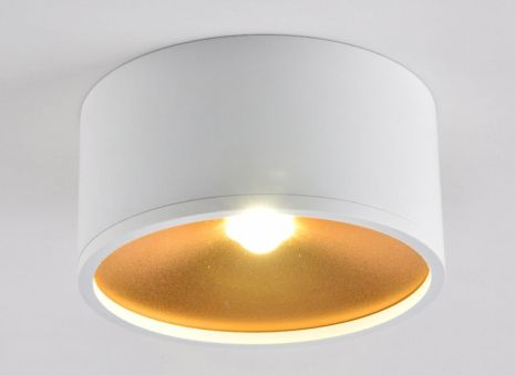 Точковий світильник Sirius RT448 WT+GD