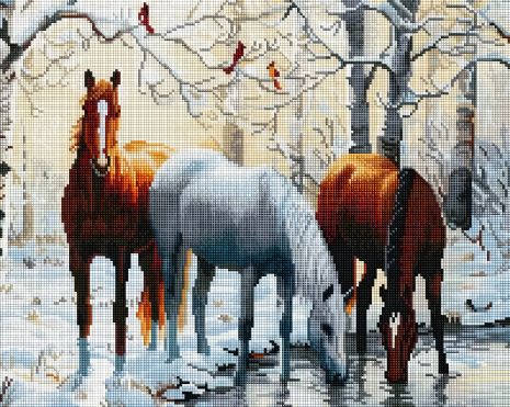 Алмазна мозаїка Коні біля ставка 40х50 см ColorArt SP005