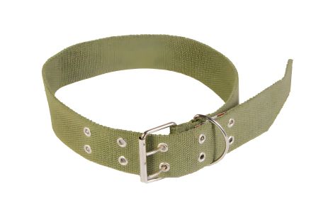 Нашийник для тварин 45х800 мм з подвійною пряжкою MASTERTOOL 92-0214