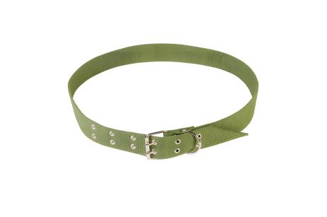 Для тварин нашийник 45х1300 мм подвійна пряжка MASTERTOOL 92-0220