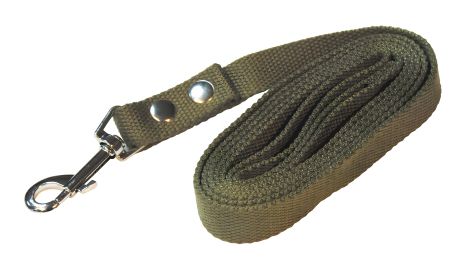 MASTERTOOL - Повідець для тварин 20 мм 2 м (92-0229)