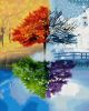 Пори року алмазна мозаїка 40х50 см ColorArt SP038
