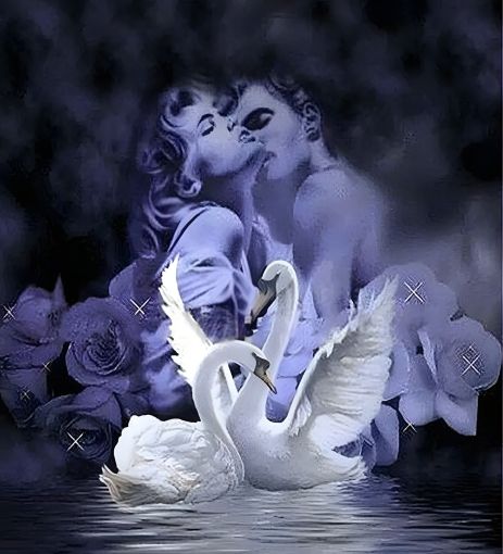 Алмазная мозаика "Пылающая страсть" 40х50 см ColorArt SP076