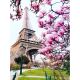 Алмазная мозаика Эйфелева башня в цветах 40х50 см ColorArt SP074