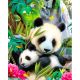 Алмазная мозаика "Панды" 40х50 см от ColorArt (SP093)