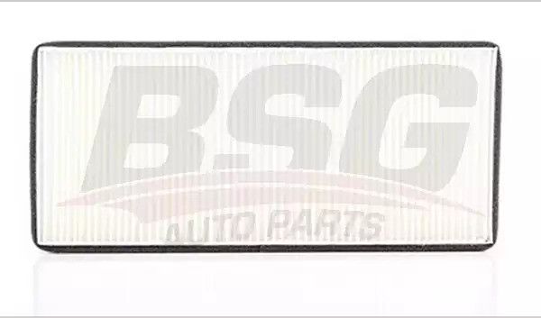 Фильтр салона, BSG (BSG60145002) Фильтр салона, BSG (BSG60145002)