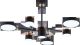 Светодиодная акриловая люстра Sirius B X13287/6 BK+FGD