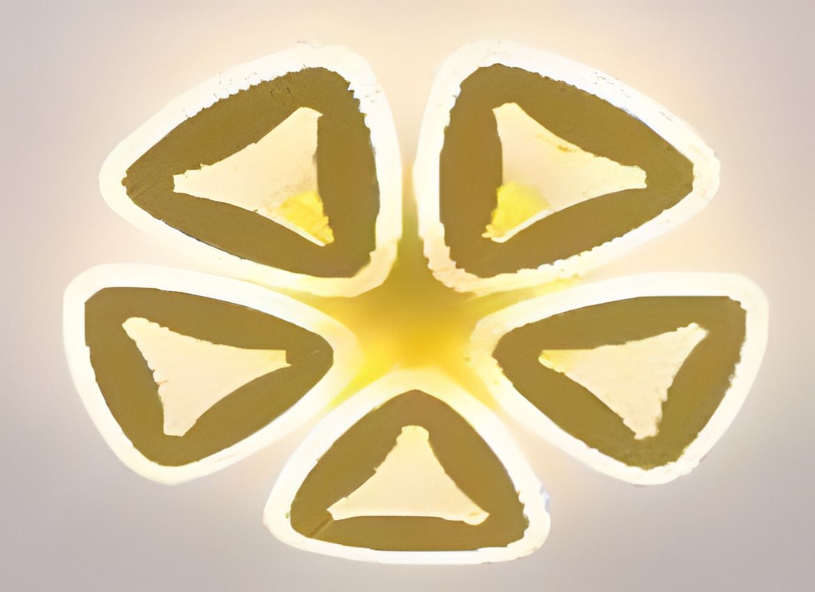 Светодиодная люстра VALESO V K39978-5 GD с пультом Светодиодная люстра VALESO V K39978-5 GD с пультом