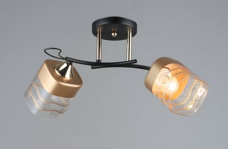 Потолочная люстра Sirius A4123/2 с двумя плафонами Потолочная люстра Sirius A4123/2 с двумя плафонами