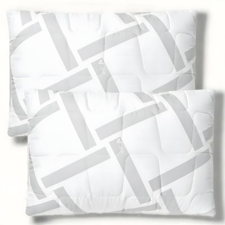 Набор подушек ELEGANTLY IDEIA 50x70 см (искусственный лебединый пух), молния, (2 шт) (8-35570)