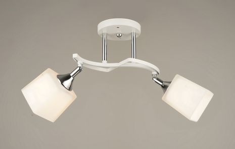 Поворотна люстра стельова Sirius B N4483/2 на 2 плафони