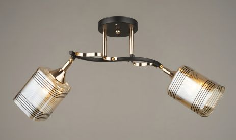 Люстра потолочная Sirius B N4382/2 BK+FGD с поворотным механизмом