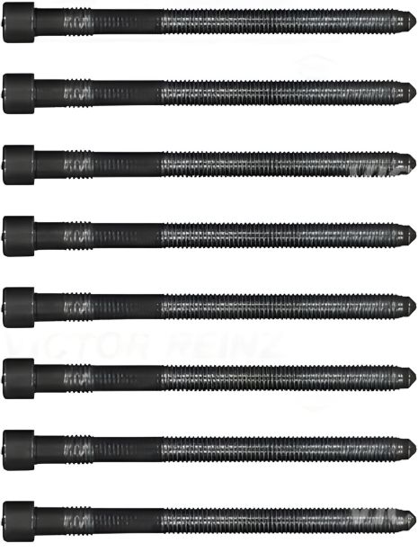 Комплект болтов ГБЦ для AUDI A8 от VICTOR REINZ (143216603)