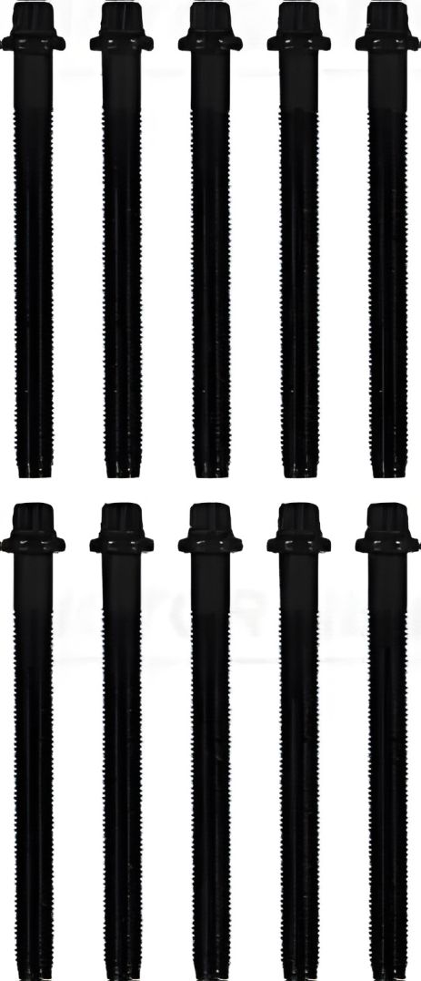 Болтів ГБЦ комплект RENAULT/VOLVO Megane,Clio,Kangoo,460,S40,V40 1,9 92-, VICTOR REINZ (143216101)