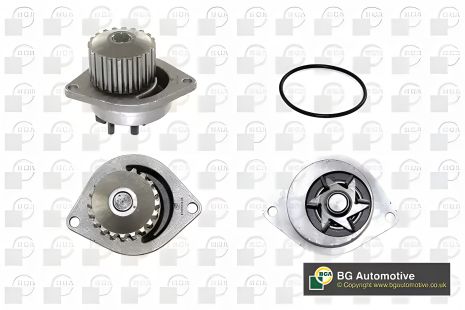 Водяний насос (помпа) MEGA CLUB для CITROËN XSARA від BGA (CP2838)