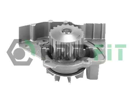 Водяний насос FIAT DUCATO, PEUGEOT 306, PROFIT (17010911)