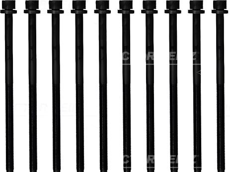 Комплект болтів ГБЦ OPEL INSIGNIA, VICTOR REINZ (143233201), набір