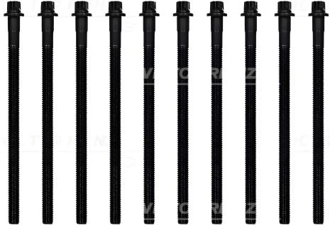 Комплект болтов ГБЦ для BMW X5, VICTOR REINZ (143230801)