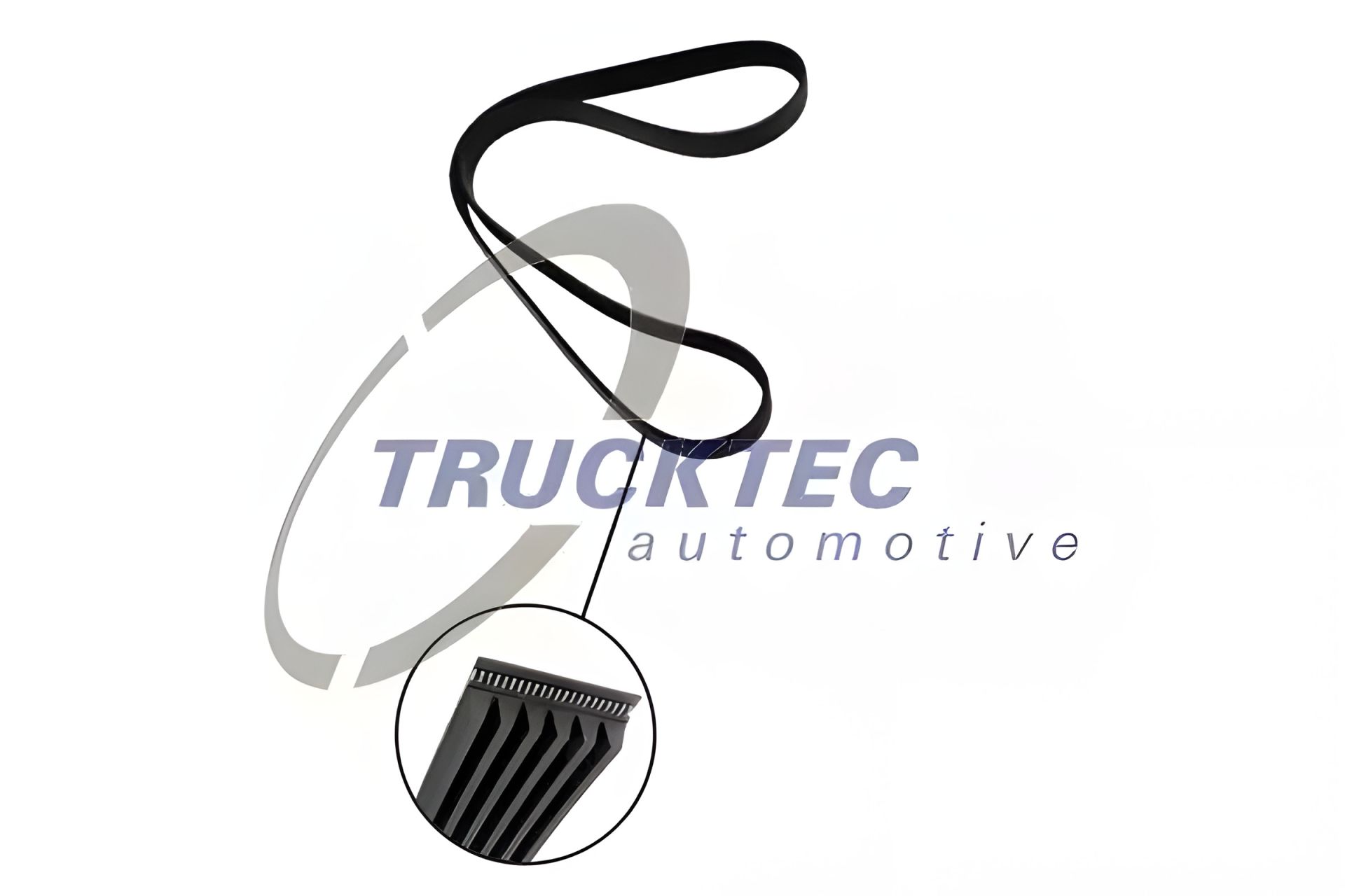 Ремень поликлиновый, TOYOTA 9091602440, OPEL 19172682, TRUCKTEC (0219258) Ремень поликлиновый, TOYOTA 9091602440, OPEL 19172682, TRUCKTEC (0219258)