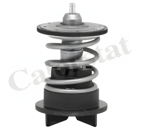 Термостат для SKODA SUPERB, VW PASSAT, VERNET (TH727289) Термостат для SKODA SUPERB, VW PASSAT, VERNET (TH727289)