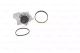 POMP + A TIMing Belt Skoda Superb, Seat Exeo, Bosch (1987946483)