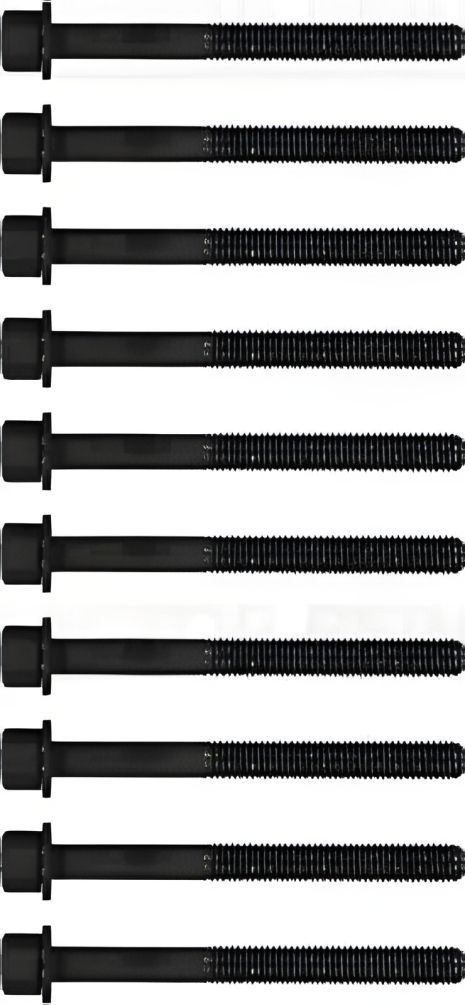 Nissan X-Trail 01-13 Болти головки блоку, VICTOR REINZ (145505601) Nissan X-Trail 01-13 Болти головки блоку, VICTOR REINZ (145505601)