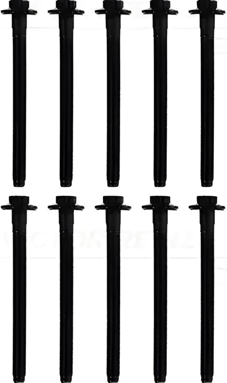 Набір болтів Fiat Talento, Opel Vivaro, Victor Reinz (141100201)