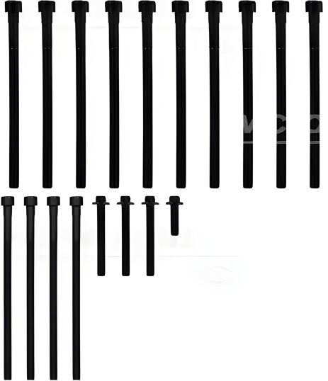 Комплект болтов ГБЦ BMW 2, VICTOR REINZ (141042701)