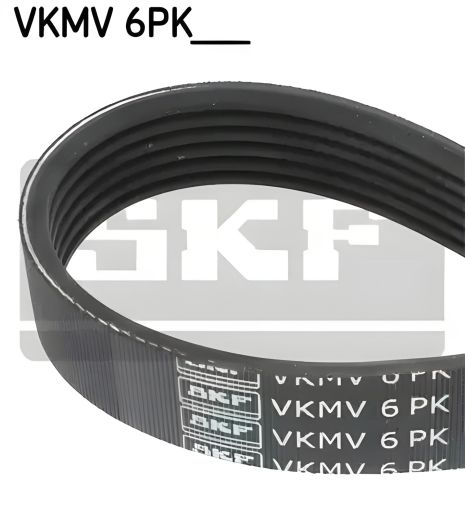 Полікліновий ремінь SKODA OCTAVIA, SEAT ALTEA, SKF (VKMV6PK1042)