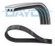 Ремень поликлиновый (DAYCO), DAYCO (3PK736) Ремень поликлиновый (DAYCO), DAYCO (3PK736)