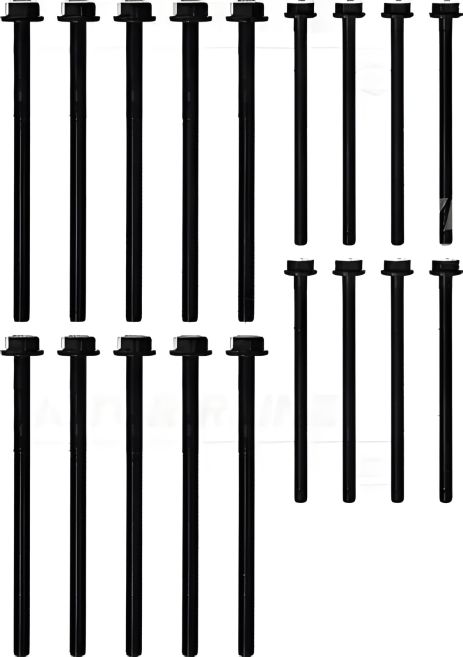 Набор болтов ГБЦ для FORD AUSTRALIA, JAGUAR X-TYPE, VICTOR REINZ (143220401) Набор болтов ГБЦ для FORD AUSTRALIA, JAGUAR X-TYPE, VICTOR REINZ (143220401)