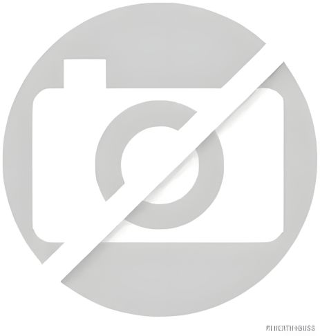 Салонний фільтр для HYUNDAI ACCENT, JAKOPARTS (J1340504) Салонний фільтр для HYUNDAI ACCENT, JAKOPARTS (J1340504)