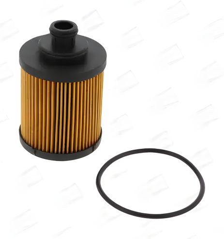 Масляный фильтр для FORD KA и LANCIA YPSILON, CHAMPION (COF100578E) Масляный фильтр для FORD KA и LANCIA YPSILON, CHAMPION (COF100578E)