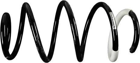 Передняя подвесная пружина KIA SPORTAGE, HYUNDAI ix35, SACHS (993565) Передняя подвесная пружина KIA SPORTAGE, HYUNDAI ix35, SACHS (993565)