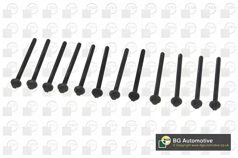 Комплект болтів ГБЦ OPEL CORSAVAN, OPEL ASTRA, BGA (BK4305)