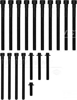 Комплект болтов ГБЦ BMW Z4, VICTOR REINZ (143230902)